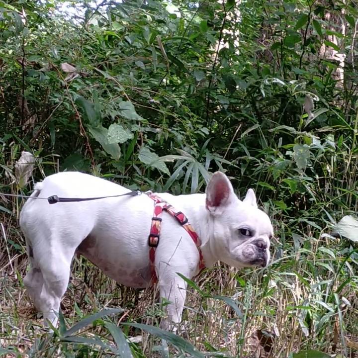 D1cde8e9 e343 47ff b74d 961b2fb29de7 1664577629536