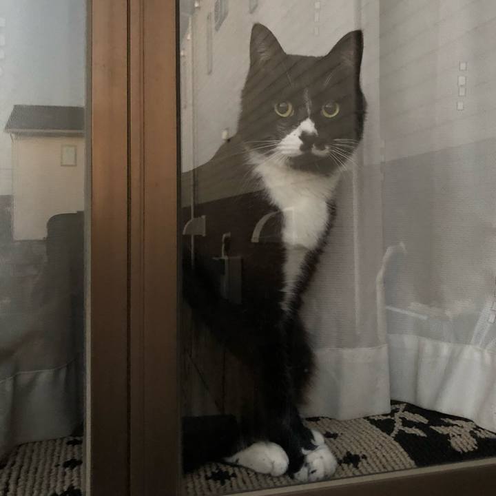 D1cde9d6 376e 4204 aa7b 186f61a37a1b 1610422562063