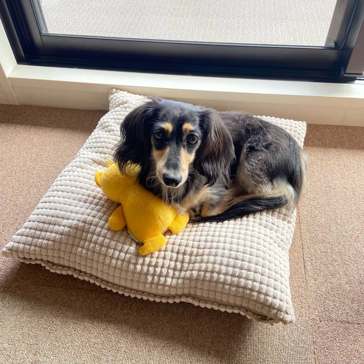 D1cdf281 cc77 41ce 9681 9d63532c449e 1759710807167