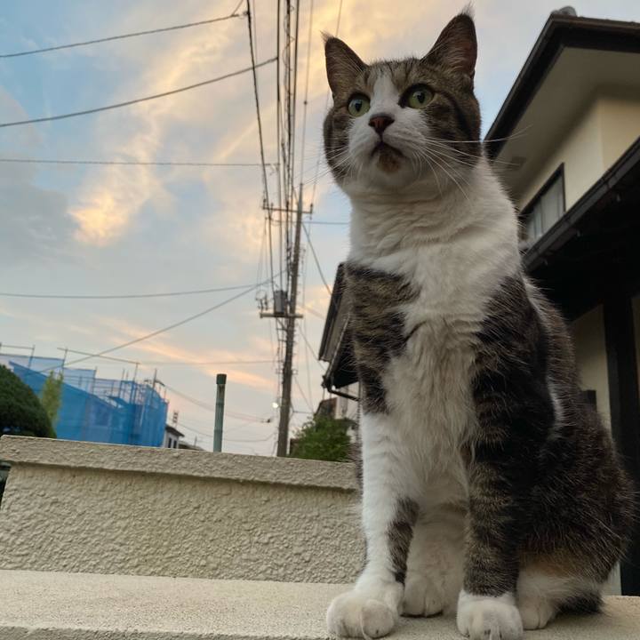 D1ce0691 571b 454a b808 690f4d1a276c 1597057661095