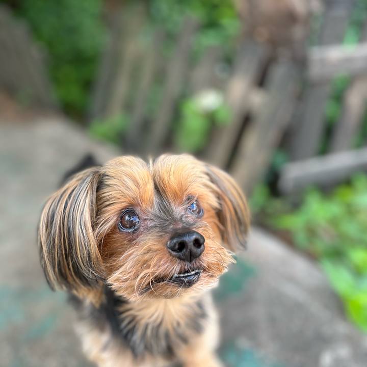 D1ce0d66 07a6 4960 89a7 75b4f35f60a9 1654322671370