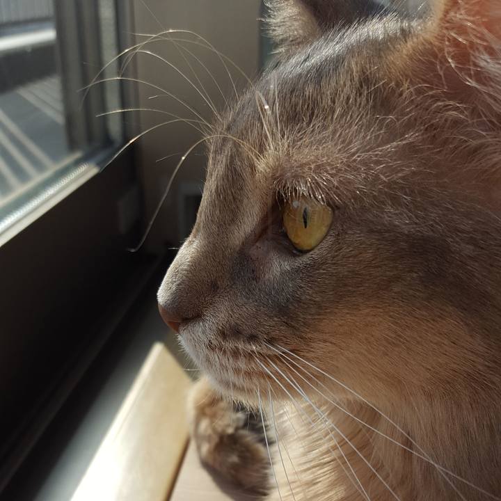 D1ceaf0b 7e38 44c2 ac08 a9fb0d28319a 1586499441947