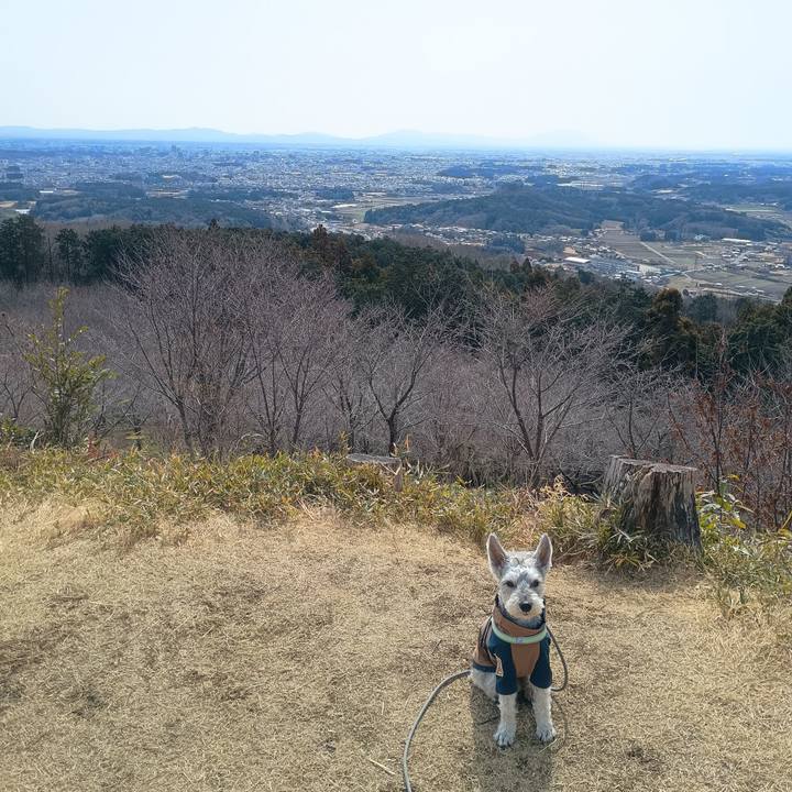 D1ceeced d1e2 46e4 afe6 20f5550135ec 1773405981478