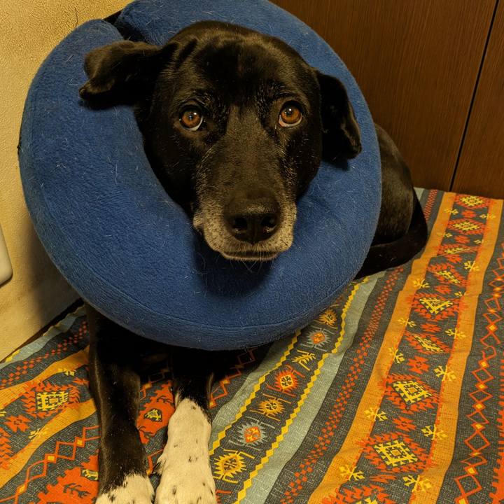 D1cef158 3e6e 410b 8215 b06de3b5f8e7 1714686724447