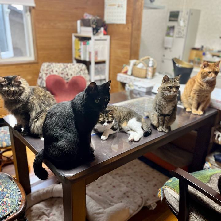 D1cf0502 93c2 44da a401 2bf06c7f691b 1687600941639