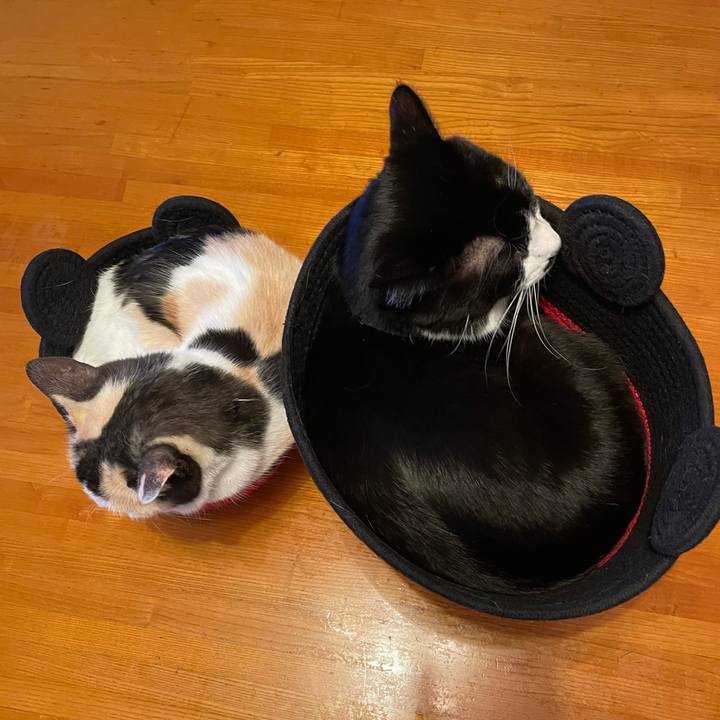 D1cfbbe6 8422 4a15 9ec7 c964715be1d1 1739778115274