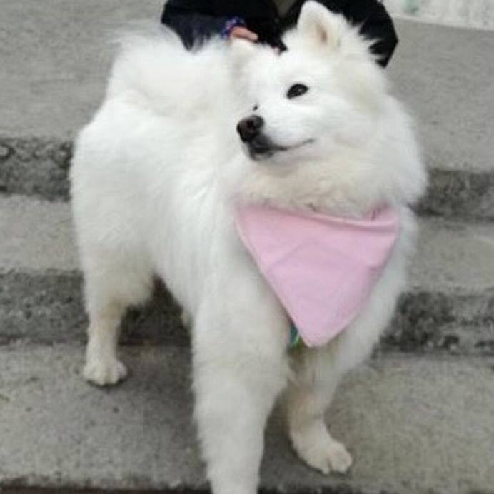 D1cfc13f d940 45d8 b792 0b3b2f265ee6 1551761870283