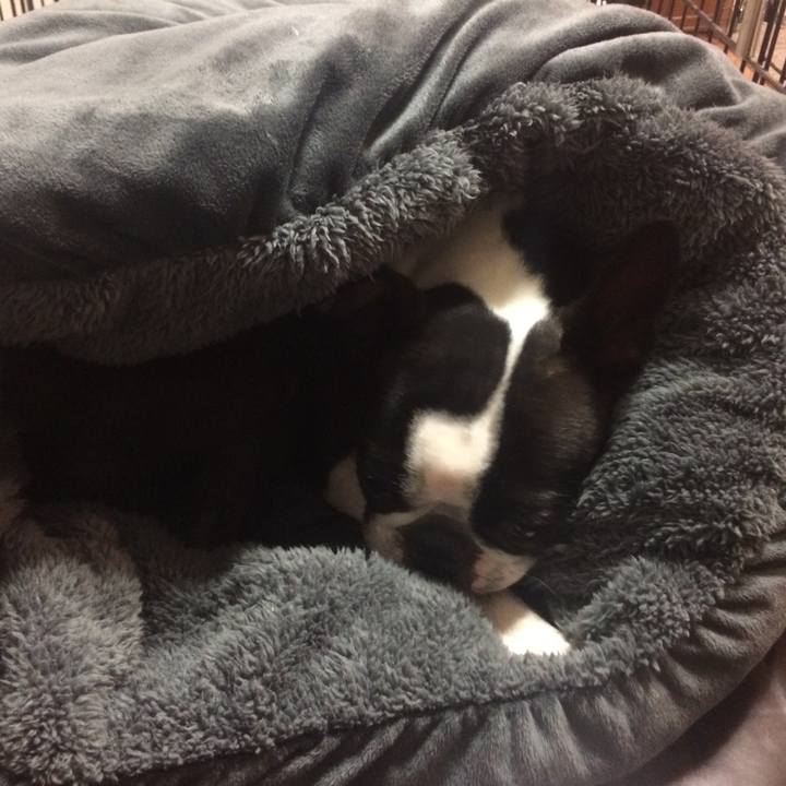 D1cfd221 6908 4f62 9875 2a5f60f39ab9 1512824151015