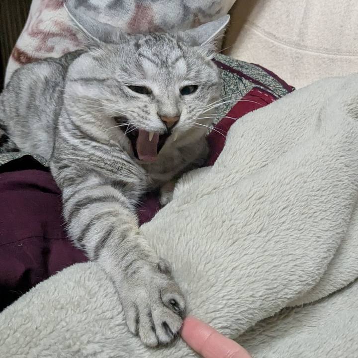 D1d01ad7 dbcb 4941 8e59 8b2750611a4f 1741773202907