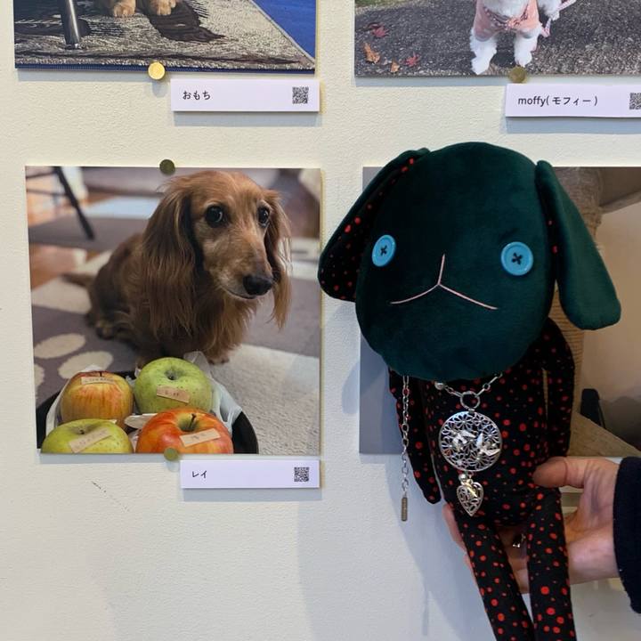 D1d09267 8387 495d 807a 7889b1ef67b8 1765797474668