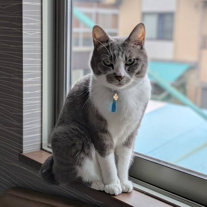 D1d0b1f9 b3ec 4f55 ac87 a0d6e4f3162e 1729911716443