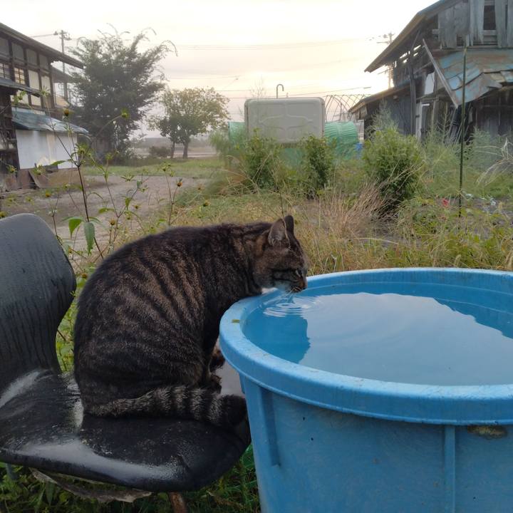 D1d0bfbf e7f6 488a 990d f348036f6ad2 1665005259824