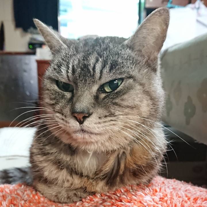 D1d0dab0 843e 4a23 8fe8 0e9dc65eb2af 1580869722566