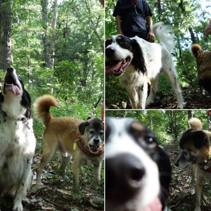 D1d113a8 0606 4ad3 83de fa9d20258df4 1536367076520