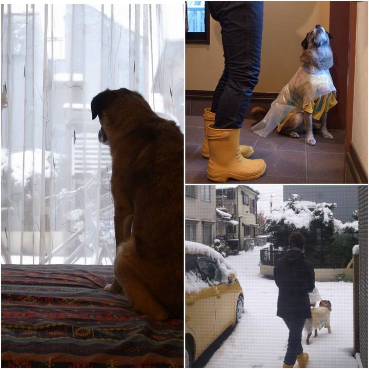 D1d130cb 2882 4367 945b 16db6ccf5775 1584269161693