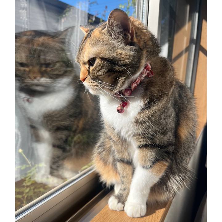 D1d16459 bf04 44a9 92c3 deafdfce6300 1767324472729