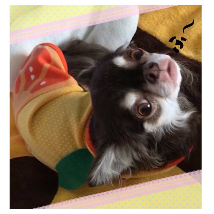 D1d16b03 9db4 4184 8385 e267ad332f89 1508677152543