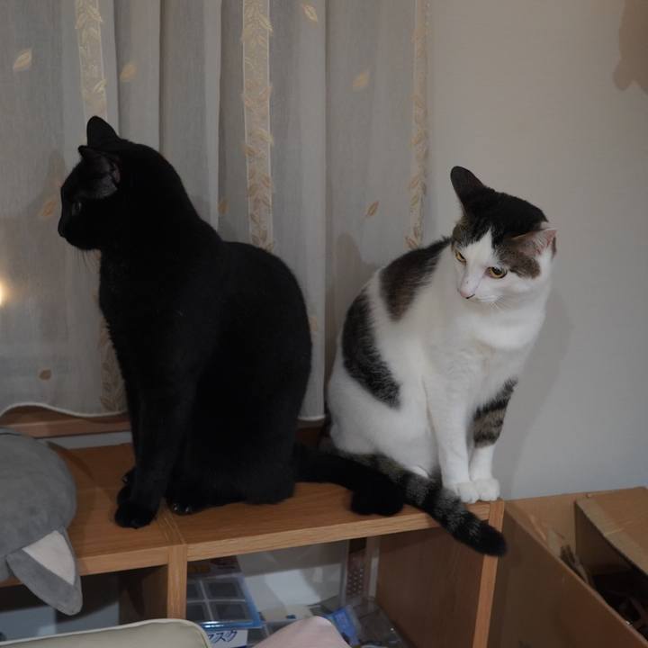 D1d17856 9ad0 4be7 8e76 92a7f84dc8df 1599004052035