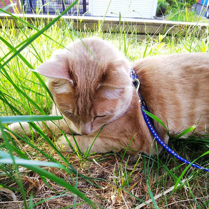 D1d1a05d 075e 4cb6 afa8 a55c573ef236 1591914546323