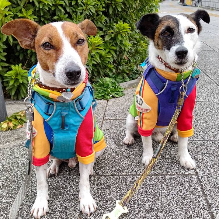 D1d1d970 497c 469e 9d31 bce36b9ea7c4 1633559757349