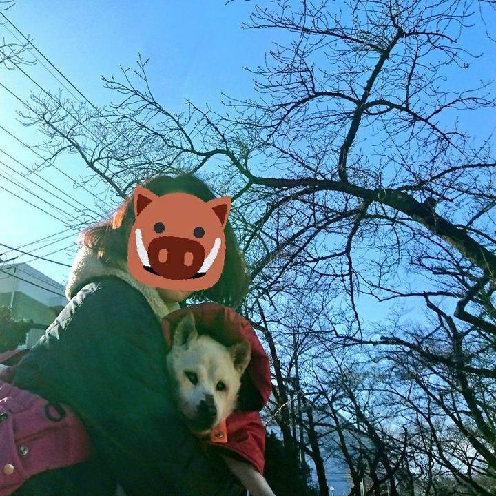 D1d219ce 773b 4ebe 980f 3d469fa45754 1546326792812