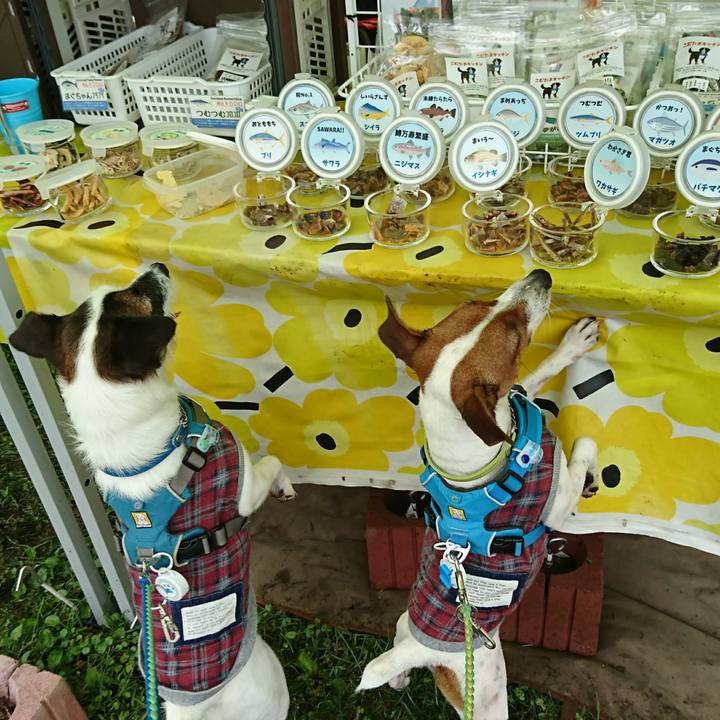 D1d24c34 268d 48cc aacb 97c86c558a74 1595153721880