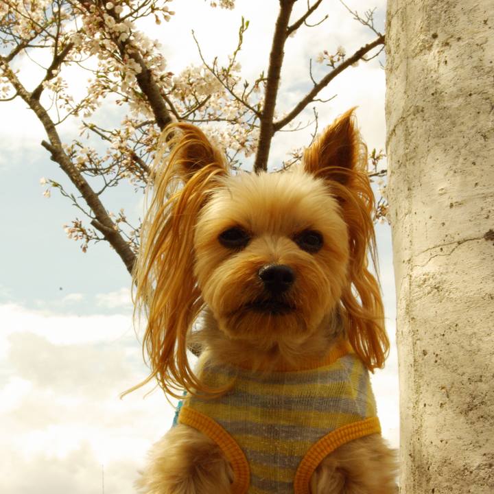 D1d26072 d398 48ea 9d75 0cccaafb1831 1525413186325