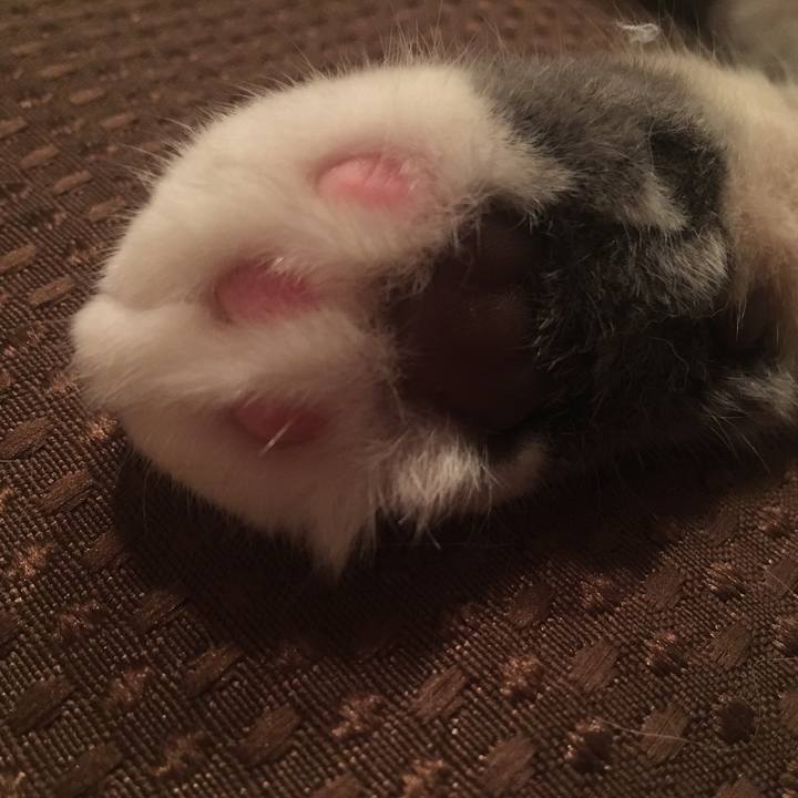 D1d2684a 57ab 4643 9763 f8a1cba6668b 1561723082446