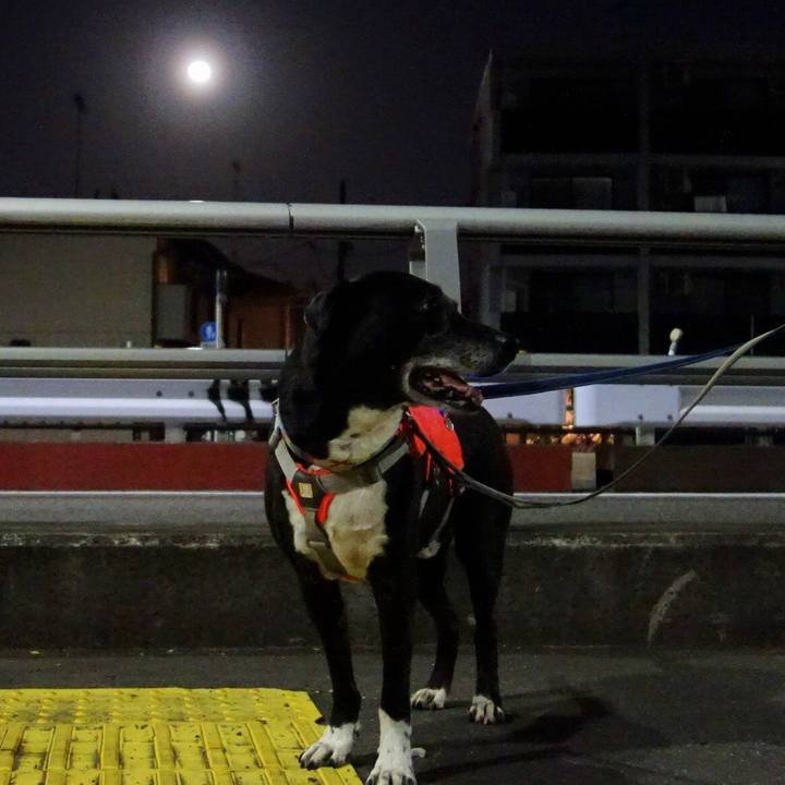 D1d2aecd 7954 415b 8fec 639ffdac433b 1741956256001