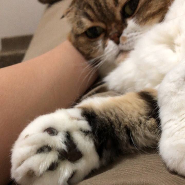 D1d2be21 718b 414d acd7 b18fdcf24afd 1537436345659