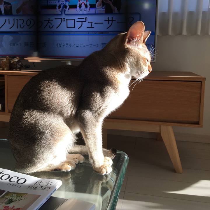 D1d2c51a 9c71 4fd1 bf94 522cd2fd9e2a 1511072979405