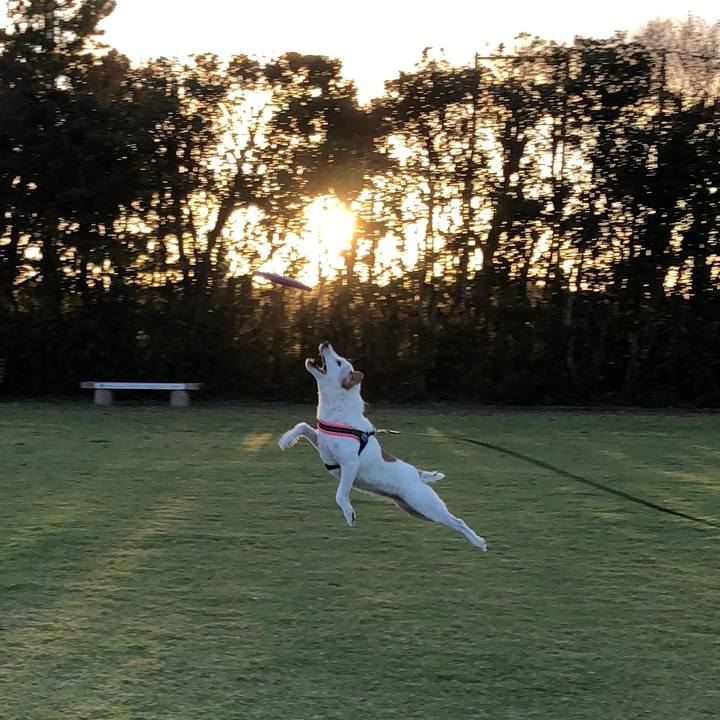 D1d2dee8 a056 4687 afd1 88c9e989bbd5 1538991628129