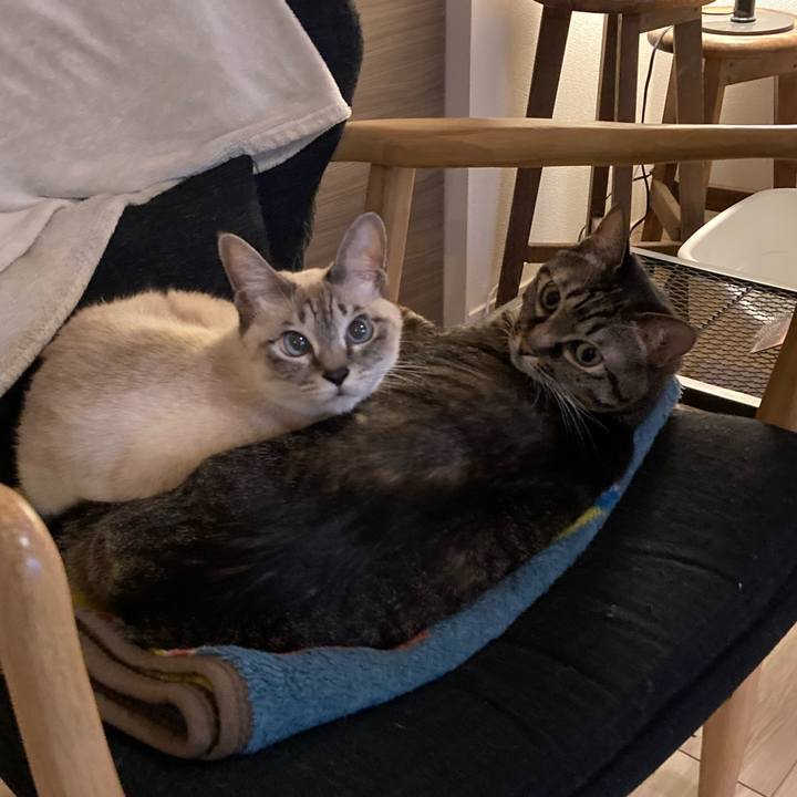 D1d2f2d0 21c1 4968 9ed5 9eac7cc2cbc0 1704798817111