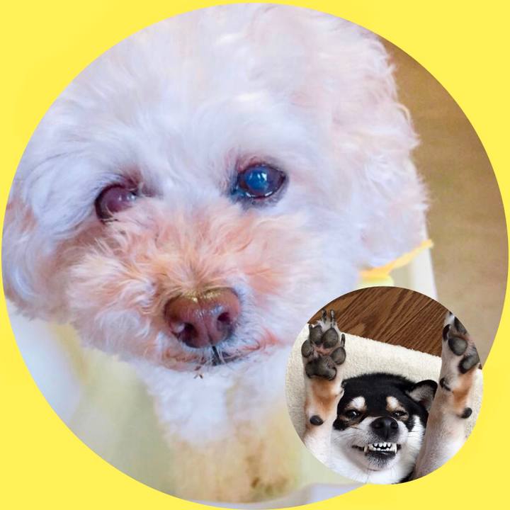 D1d301d5 e49d 4ff9 bf26 4ad7f24afad9 1526449861867