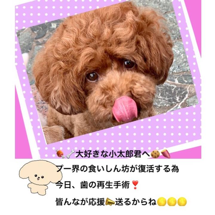 D1d3309c 9250 4575 95e6 9280cfed5b33 1625009100903