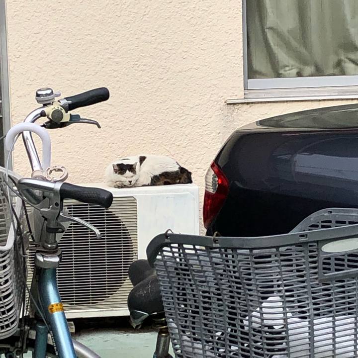 D1d343ab 0ec5 402c b04b da59d1c08790 1543829285623