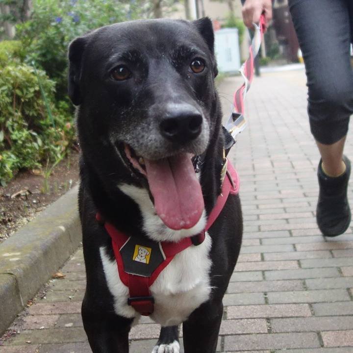 D1d37990 7513 4e80 98e8 4d2b102f829f 1696465135057