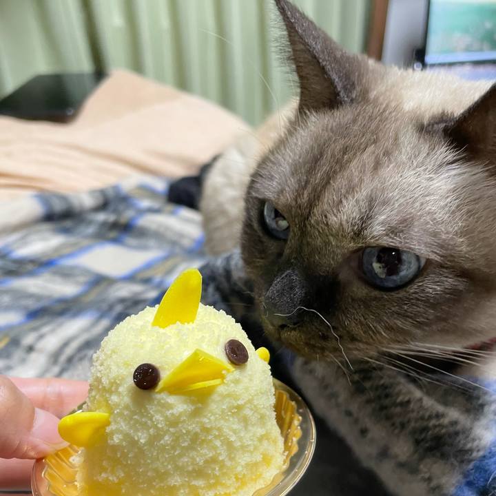 D1d3beae 9f32 4dce aee3 b557aa038223 1763289105915