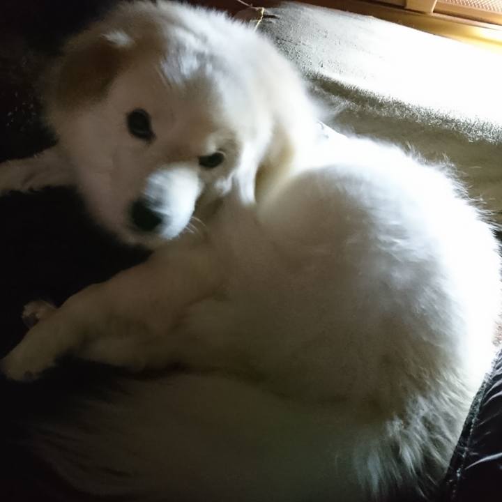 D1d41079 c0fc 4a06 96ee aef598a21e59 1525815557858