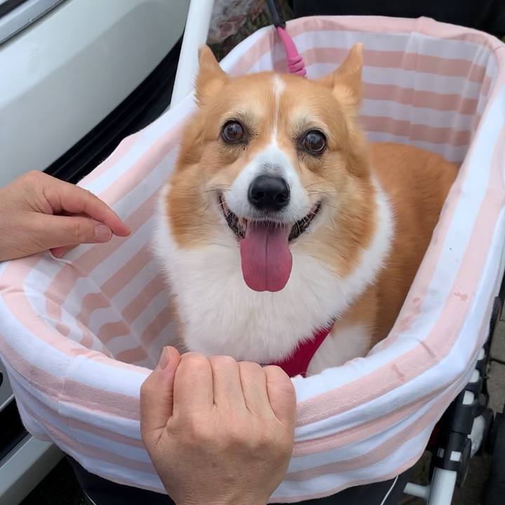 D1d42cff 3bfc 4b7d 97cc 5d23a1510812 1686538984881