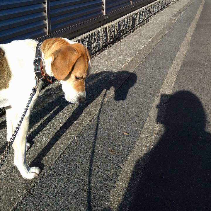 D1d42df0 c0b4 456e 8f4d 6dc03188bc2b 1648476247449