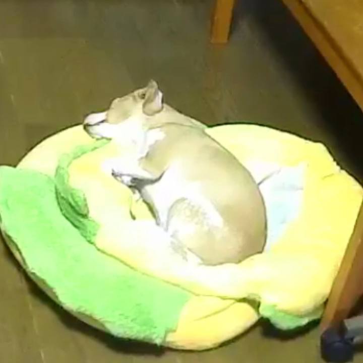 D1d44d8c 92a9 4bb9 afa0 c189131f7650 1536984611422