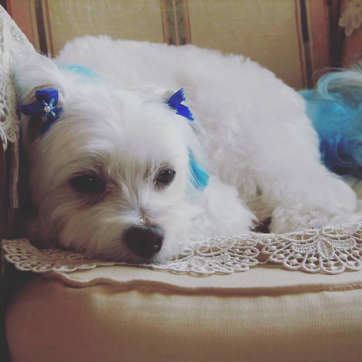 D1d4805e bb33 4b7e a314 42191ccd9bce 1546938296502