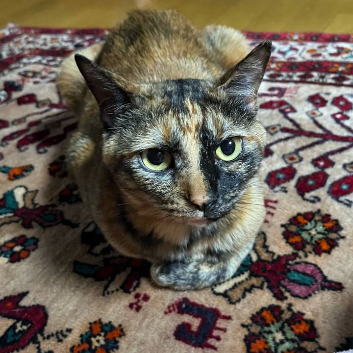 D1d4e10f 0178 4f5c a08e 54a321238dcf 1747777006726