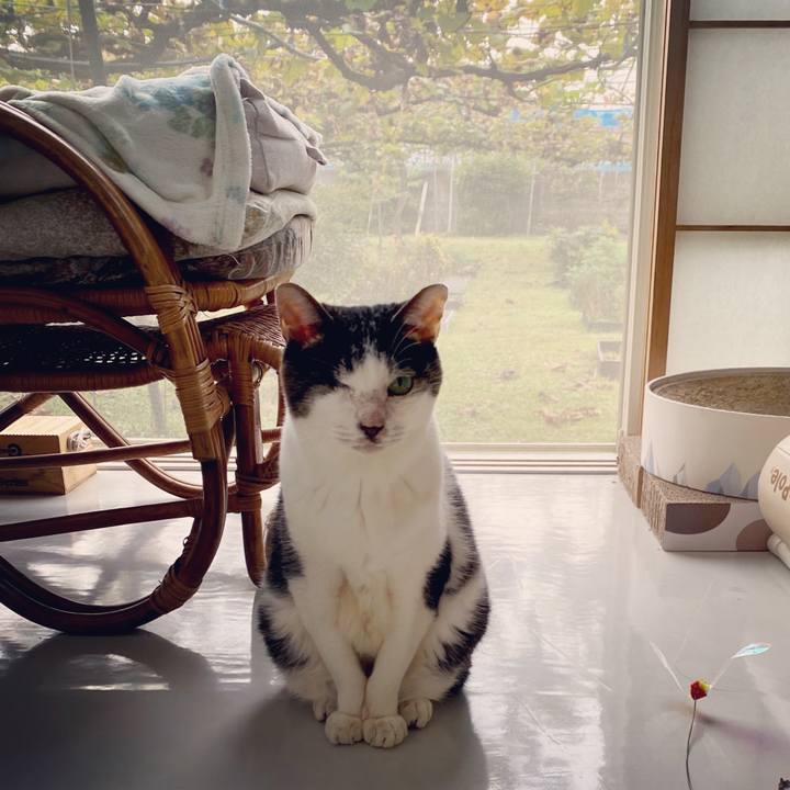 D1d50b6a 4175 4abd 966f 63e0b3e73538 1603892841961