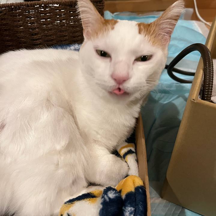 D1d527b0 c067 4394 9227 be9c7634a721 1766699279215