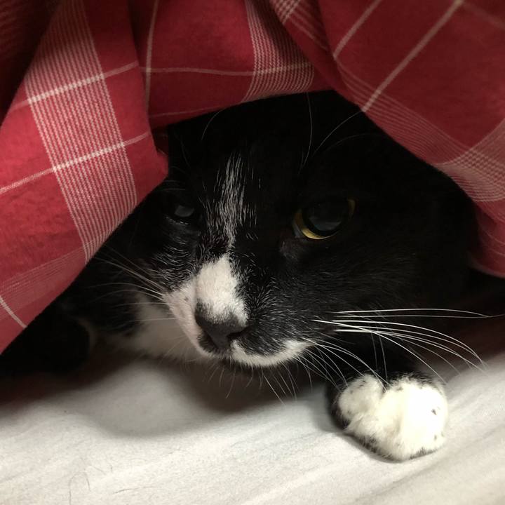 D1d5b328 9376 4d24 aa2b 260beb6ebc24 1644466093696