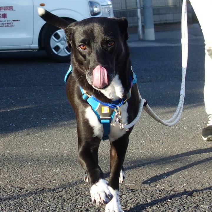 D1d61b2a a1d9 4a87 9ca5 483bdc9b87d1 1635987059914