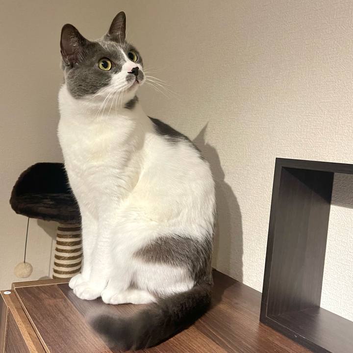 D1d61f50 acb8 4175 851a 44fb2621a76a 1668519634768