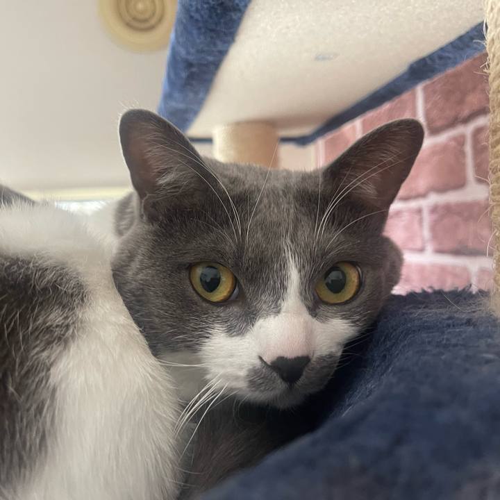 D1d64c8b 0509 464a a8d4 bb16be7657f2 1647652919646